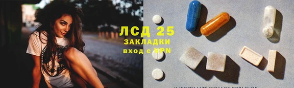 молекула духа Арсеньев