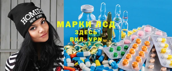 молекула духа Арсеньев