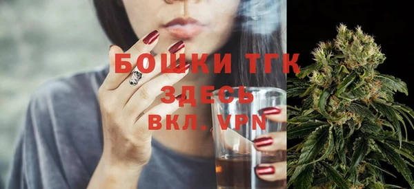 молекула духа Арсеньев