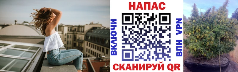 Конопля Bruce Banner  продажа наркотиков  Светлоград 